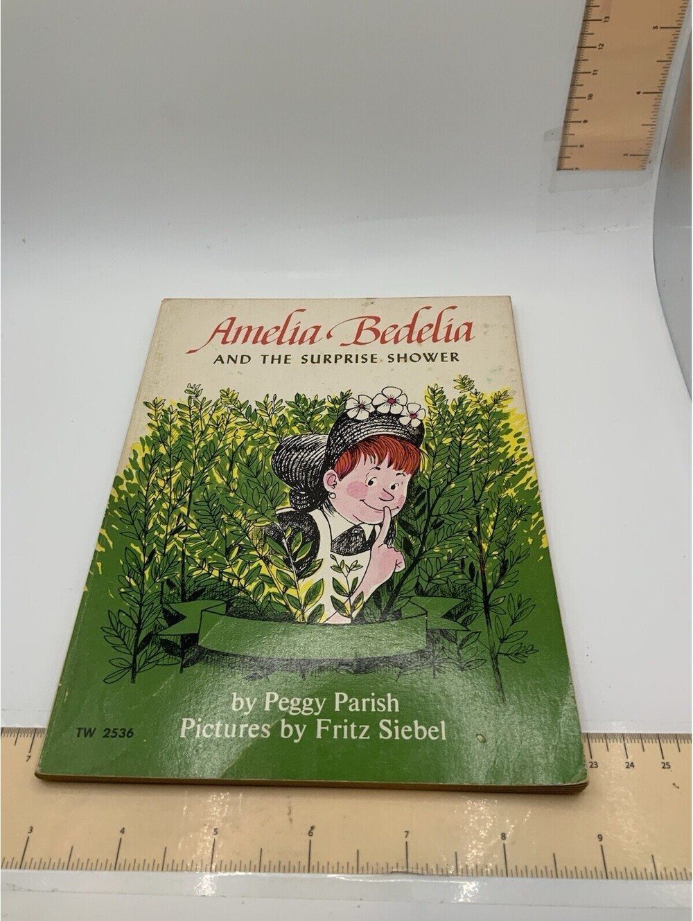 Amelia Bedelia and the Surprise Shower Peggy Parish 1973 Scholastic Paperback